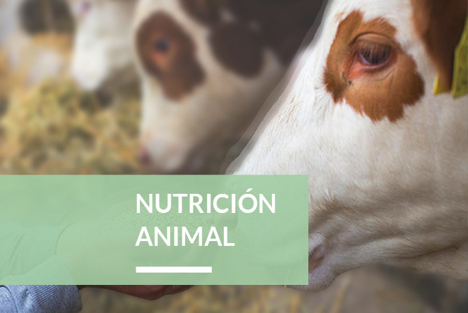 nutrición-animal